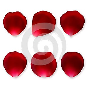 Set of red rose petals