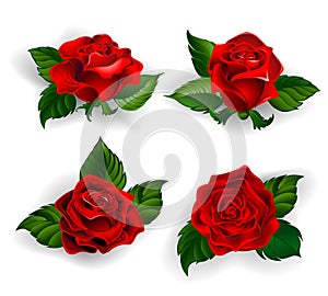 Set of red roses