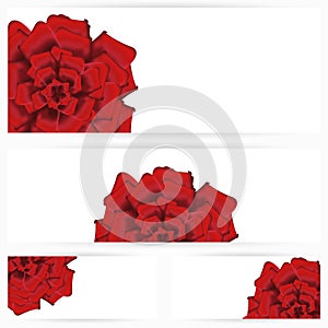 Set of red roses isolated on white background