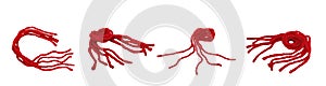 Set of Red string Kabbalah isolated on white background.