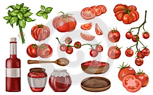 A set of red tomatoes. On a twig, slices, pairs, singly. Dishes for storing and consuming tomato paste