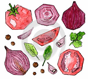 Set of red vegetables and spices stylized square. Tomato, basil and parsley leaves, onion, garlic. Watercolor sketch