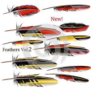 Set of red and yellow realistic vector feathers for design