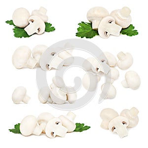 Set ripe champignons (isolated)