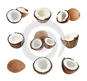 Set of ripe coconuts isolated
