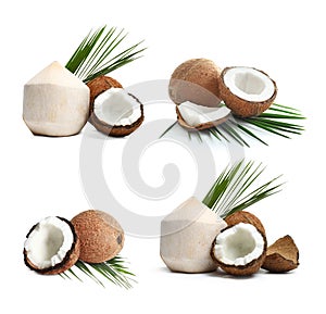 Set of ripe coconuts isolated