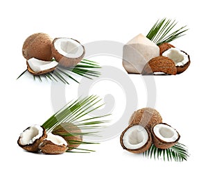 Set of ripe coconuts isolated
