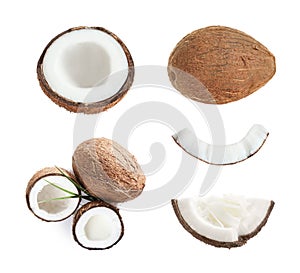Set of ripe coconuts isolated