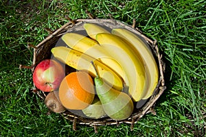 A set of ripe fruits in an old basket. Green grass around.