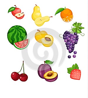 A set of ripe fruits.Vector cartoon illustration.