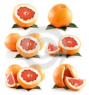 Set of Ripe Grapefruit Fruits Isolated on White