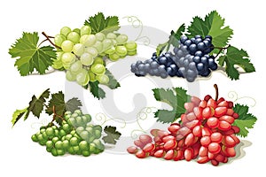 Set of ripe grapes