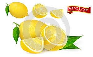 Set of ripe juicy lemon whole and lobule realistic vector high detail. Lemon juice Fresh fruit, 3d vector icon.