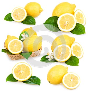 Set of ripe lemon fruits isolated