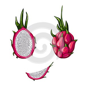 Set of ripe red dragon fruit isolated on white background. Whole, half and slice pitahaya