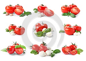 Set of ripe red tomatoes, mozzarella balls, garlic and green basil leaves on white background