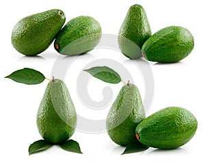 Set of Ripe Sliced Avocado Fruits Isolated