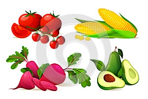 Set of ripe vegetables, vector farm food