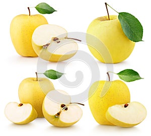 Set of ripe yellow apple fruits with green leaves on white