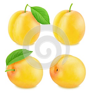 Set of ripe yellow plums isolated