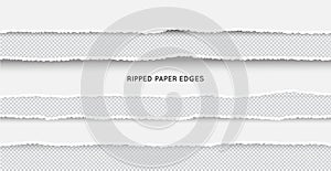 Set of Ripped and Torn Paper Stripes.