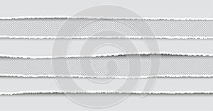 Set of Ripped and Torn Paper Stripes. Texture of Paper with Damaged Edge Isolated on Transparent background.