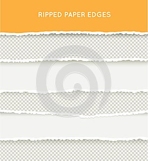 Set of Ripped and Torn Paper Stripes. Texture of Paper with Damaged Edge Isolated on Transparent background.