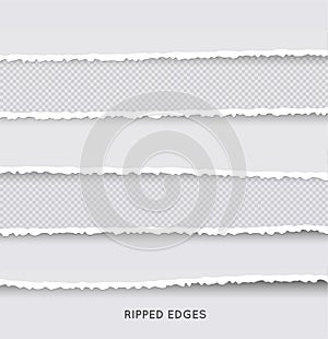 Set of Ripped and Torn Paper Stripes. Texture of Paper with Damaged Edge Isolated on Transparent background. Vector