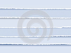 Set of Ripped and Torn Paper Stripes. Texture of Paper with Damaged Edge Isolated on Transparent background. Vector