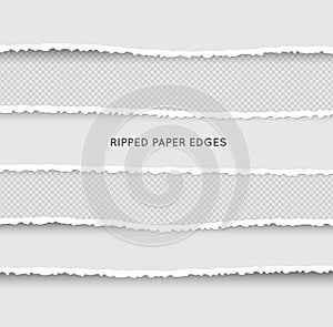 Set of Ripped and Torn Paper Stripes. Texture of Paper with Damaged Edge Isolated on Transparent background. Vector illustration