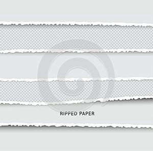 Set of Ripped and Torn Paper Stripes. Texture of Paper with Damaged Edge Isolated on Transparent background. Vector illustration