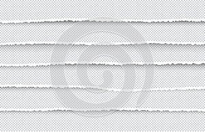 Set of Ripped and Torn Paper Stripes. Texture of Paper with Damaged Edge Isolated on Transparent background. Vector illustration