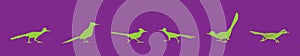 Set of road runner cartoon icon design template with various models. vector illustration isolated on purple background photo