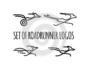 Set of Roadrunner logos . Bird logo.