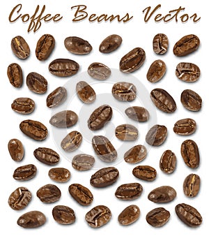 Set of roasted coffee beans elements vector and shadow on white background