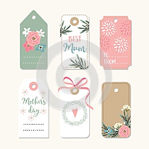 Set of romantic Mothers day, birthday or wedding vintage frames, gift tags and labels with flowers and pink ribbon