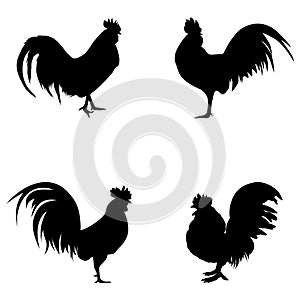 Set of rooster silhouette vector