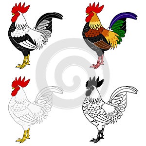 Set of roosters