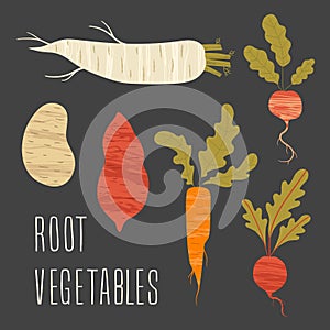 Set of root vegetables