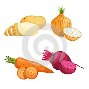 Set of root vegetables. Potato, onion, carrot groups and beet with half. Cartoon simple design vector illustrations. Fresh farm ve