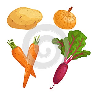 Set of root vegetables. Potato, onion, carrots group and beet with greens. Cartoon simple design vector illustrations. Fresh farm