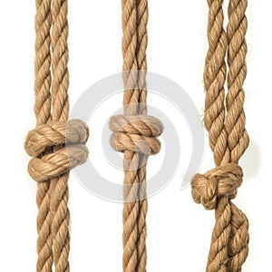 A set of ropes of different thicknesses with different knots