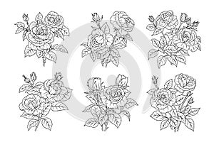 Set of rose flower line art. Floral black sketch outline bouquets. Rose with leaves simple botanical plant
