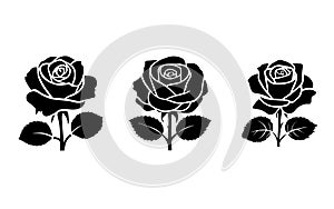 Set of rose silhouette