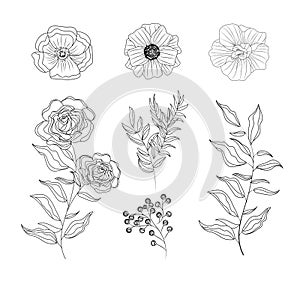 Set roses and flowers plants with branches leaves