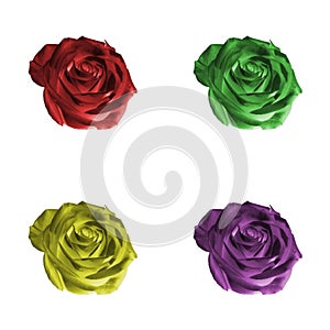 Set of Roses Isolated on White