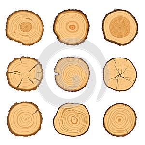 Set of round cross-sections of a tree with a different ring pattern isolated on a white background. Vector illustration