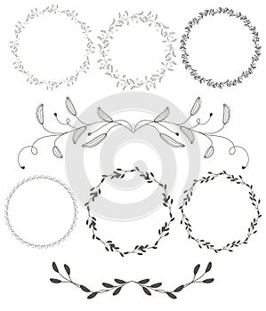 Set of round flourish vintage decorative whorls frame leaves on white background. Vector calligraphy