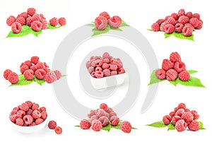 Set of rubusberry isolated on a white background cutout