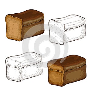 Set of rye bread illustration isolated on white. hand drawn outline and colored dark breads engraved icon collection